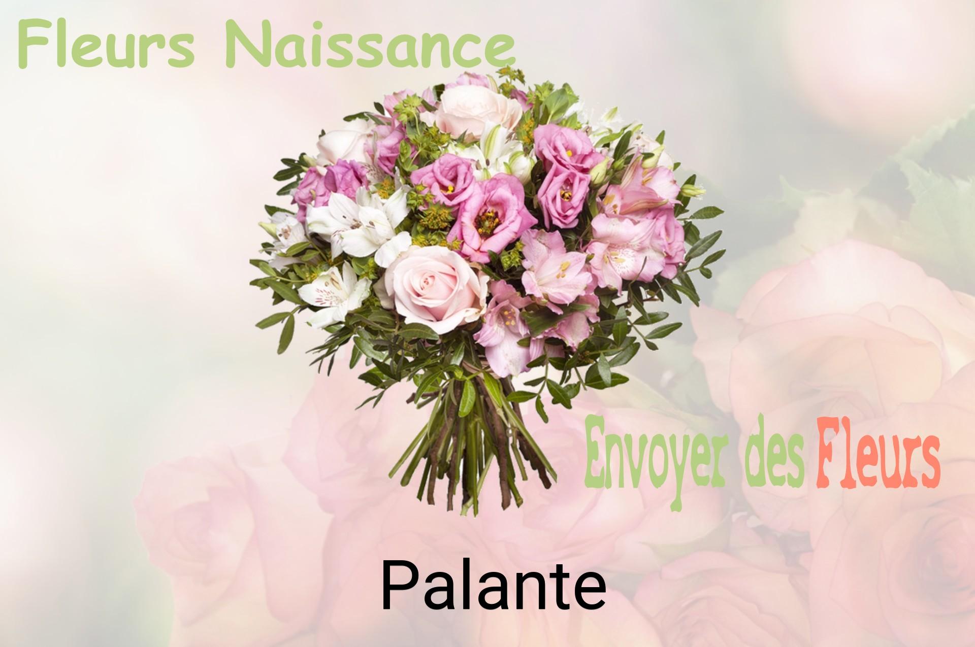 Bouquet de fleurs de naissance livré à Palante